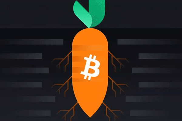 Crown 募资 810 万美元推出巴西稳定币 BRLV，将双位数收益带向全球